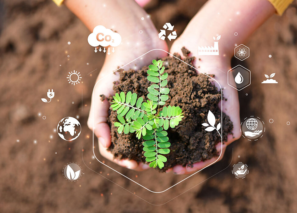 technology and sustainability - two hands holding a sprout